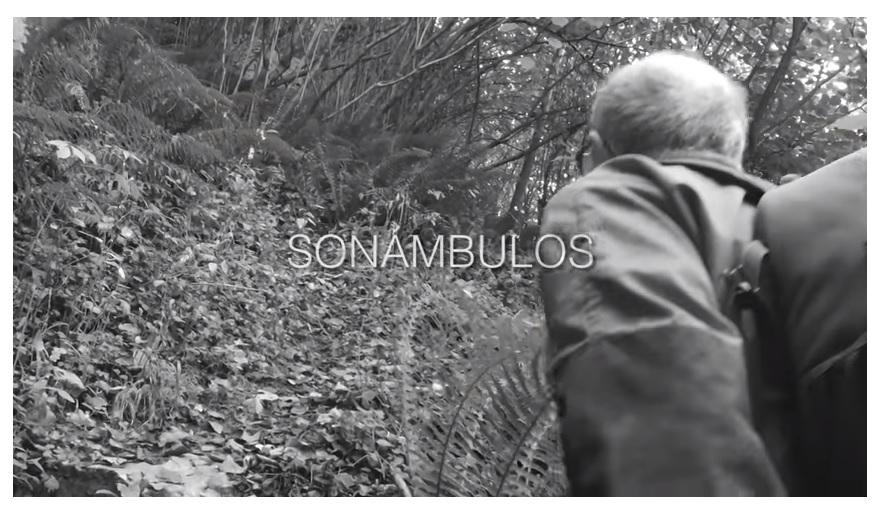 Proyecto Son&aacute;mbulos